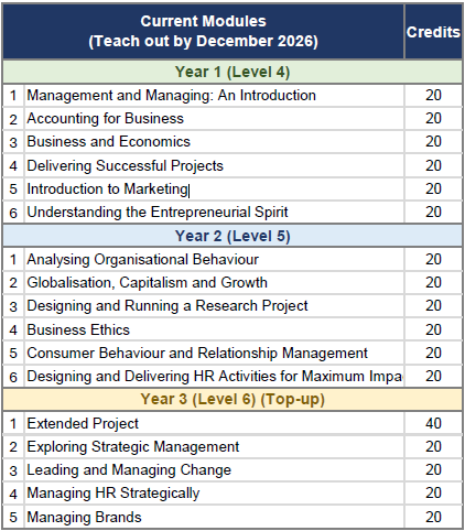 Bachelor of Arts (Hons) Business Management module structure at Hanbridge Institute in partnership with the University of Suffolk, featuring Level 4, Level 5 and Level 6 business modules including marketing, accounting, organisational behaviour, strategic management and branding.